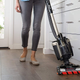 Shark ION P50 Cordless Vacuum | $300 | Amazon